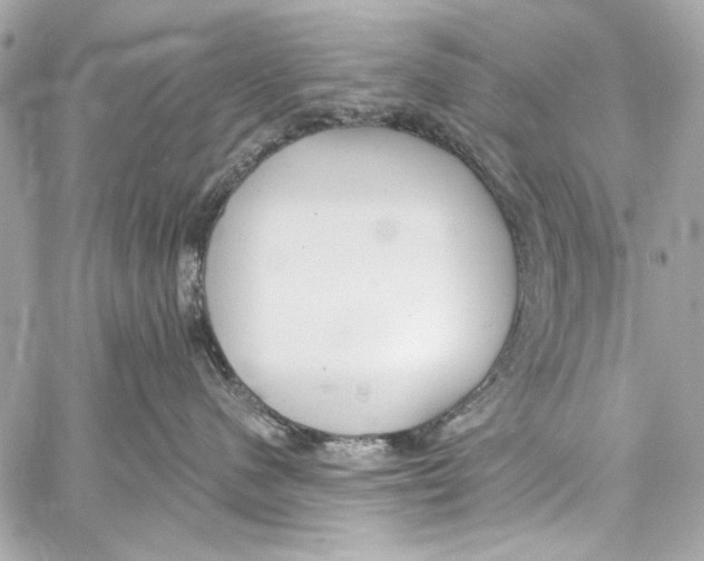 X0000057070480200510071437