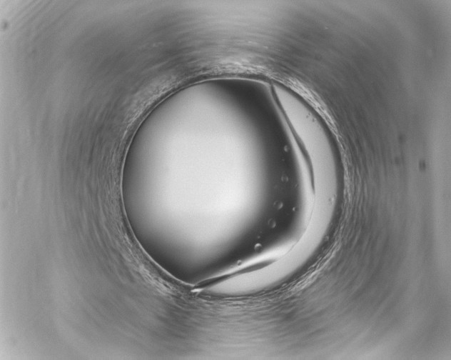 X0000057070481200510071436