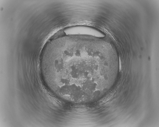 X0000057070483200510071436