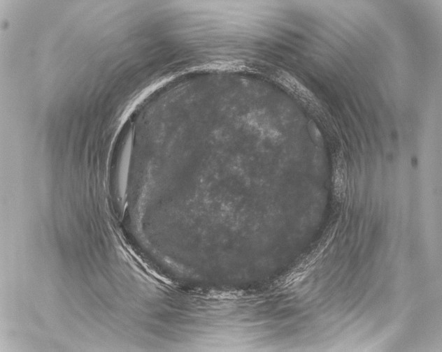 X0000057070484200510071436