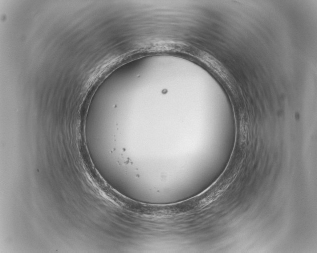 X0000057070485200510071436