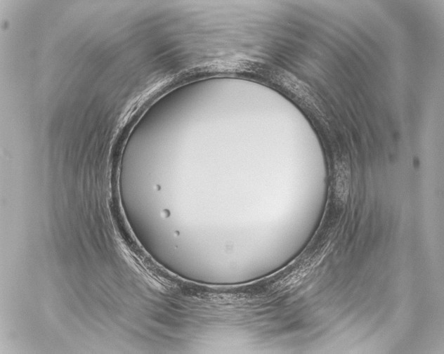 X0000057070486200510071436