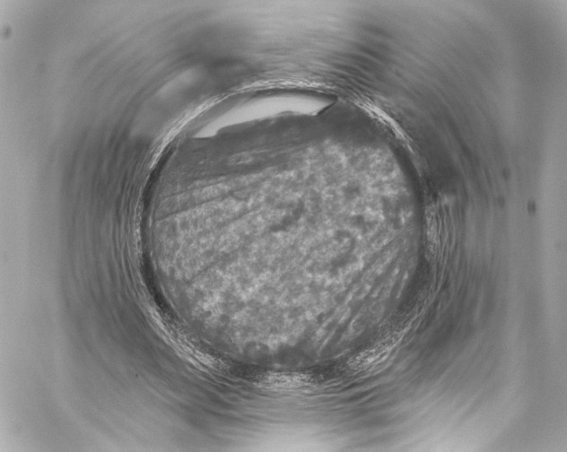 X0000057070487200510071436