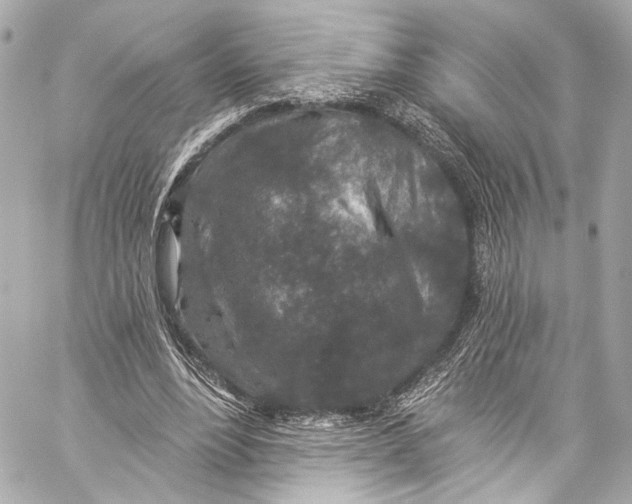 X0000057070488200510071436