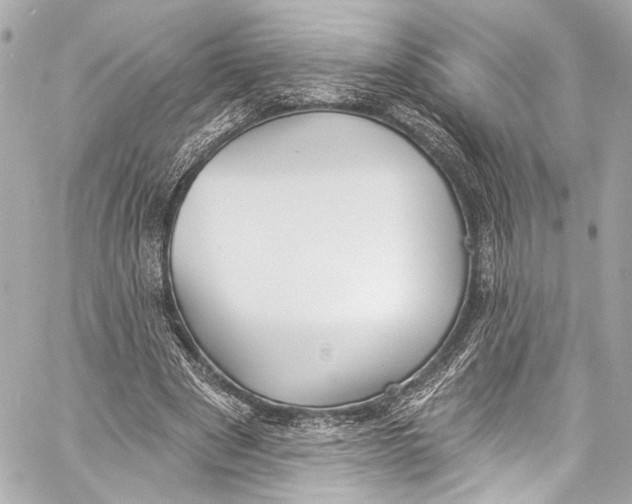 X0000057070489200510071436