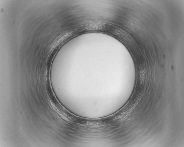 X0000057070490200510071436