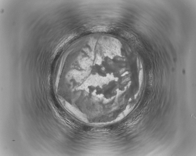 X0000057070491200510071436