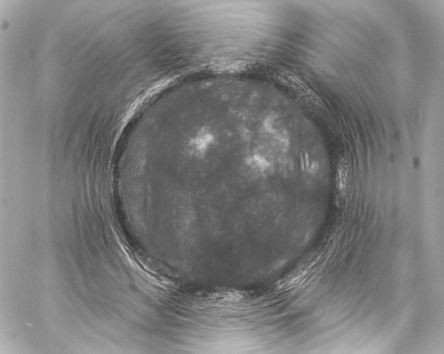 X0000057070492200510071436