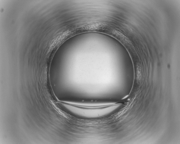 X0000057070493200510071436