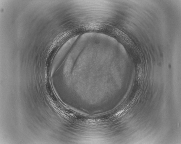 X0000057070494200510071436