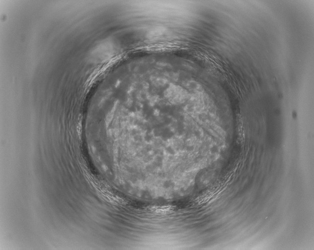 X0000057070495200510071436