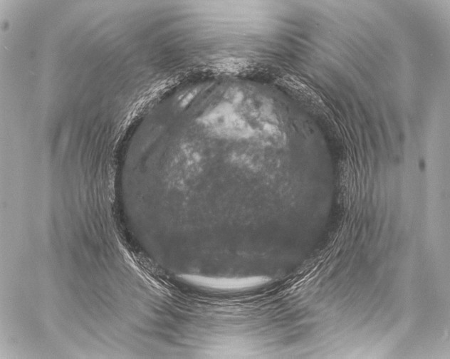 X0000057070496200510071436