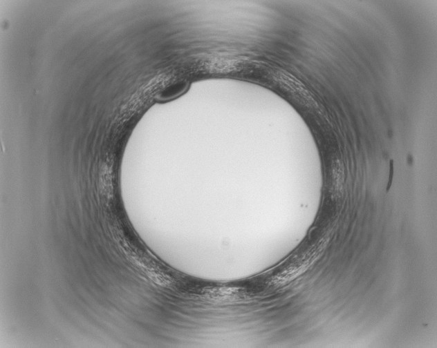 X0000057070497200510071436