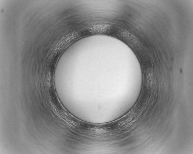 X0000057070498200510071436