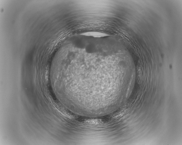 X0000057070499200510071436