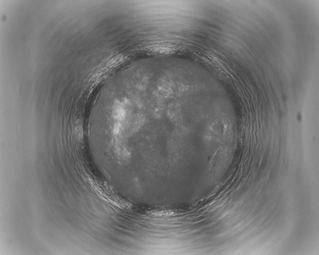 X0000057070500200510071436