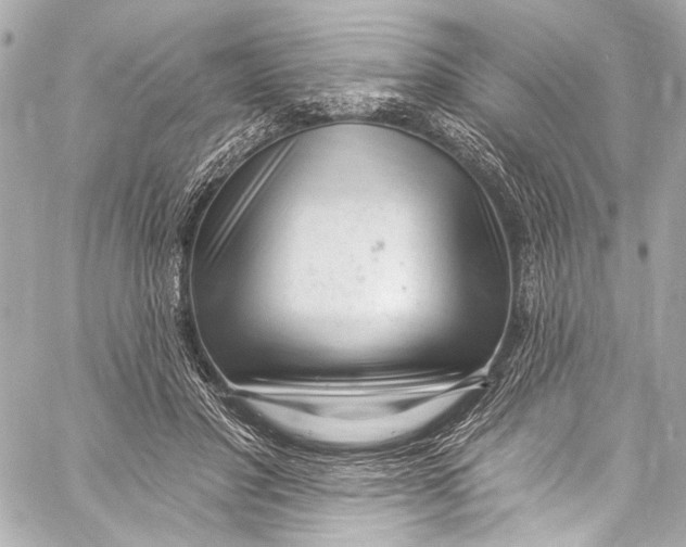 X0000057070501200510071436