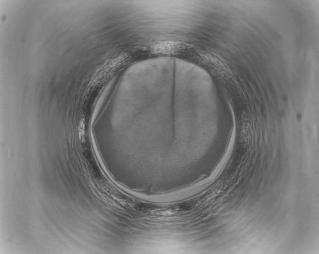 X0000057070502200510071436