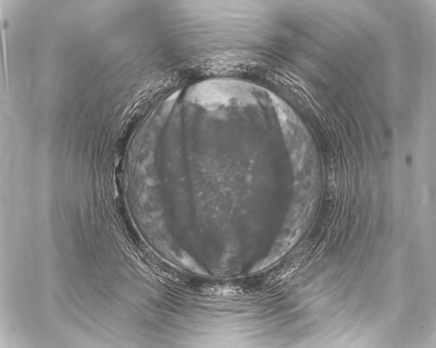 X0000057070503200510071436