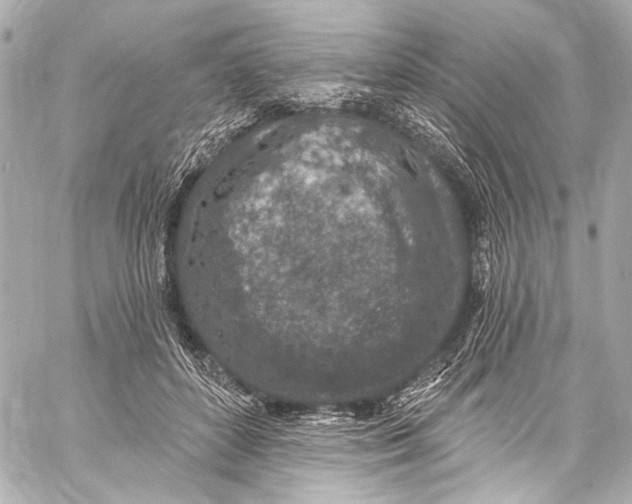 X0000057070504200510071436