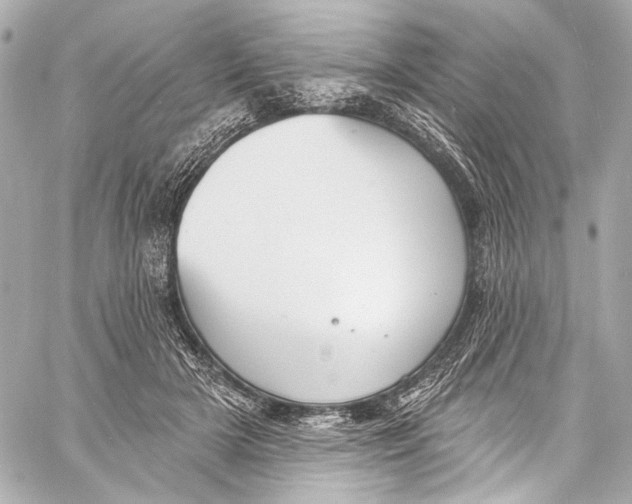 X0000057070505200510071436