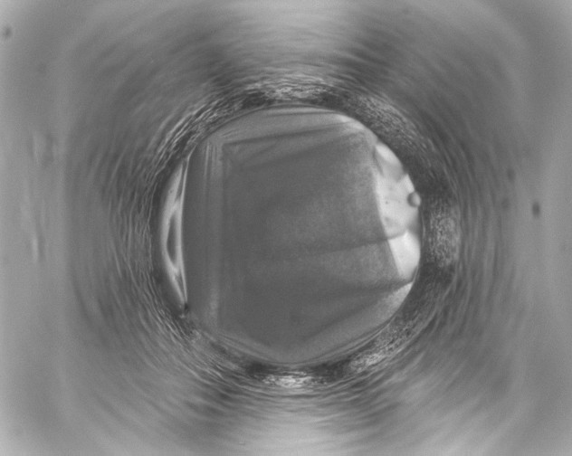 X0000057070506200510071436