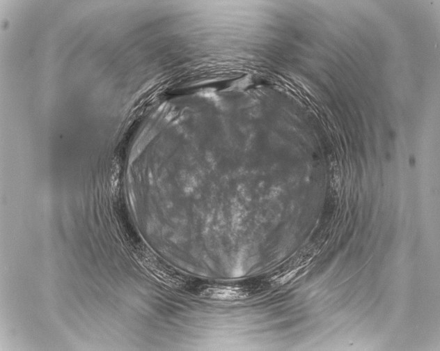 X0000057070507200510071436