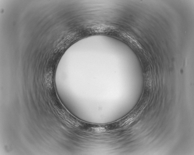 X0000057070509200510071436