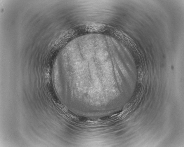 X0000057070510200510071436