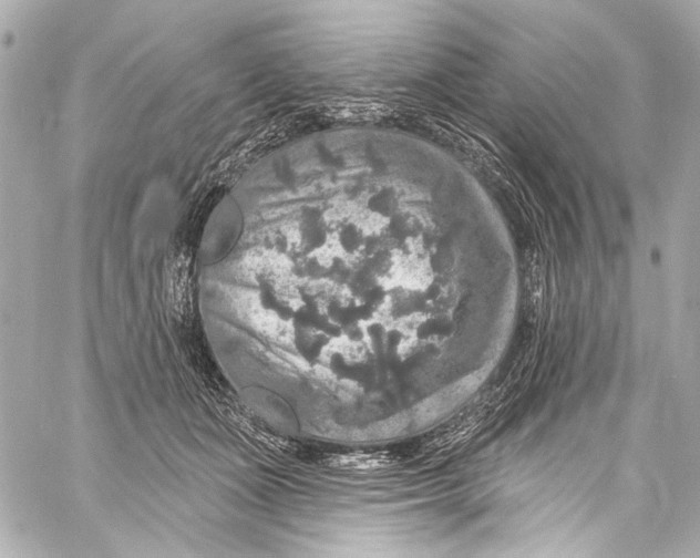 X0000057070511200510071436