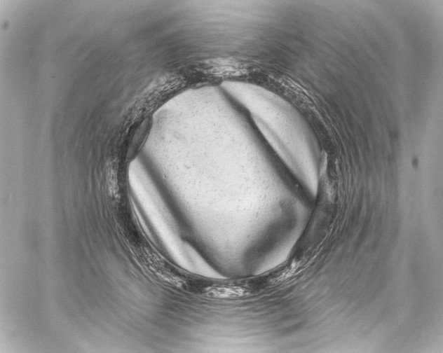 X0000057070512200510071436