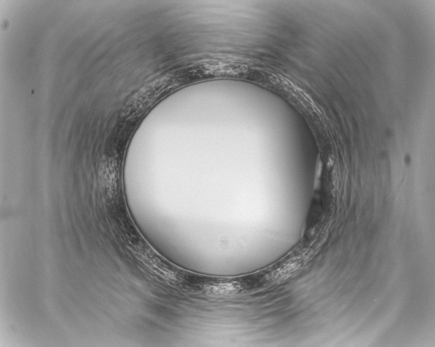 X0000057070513200510071436