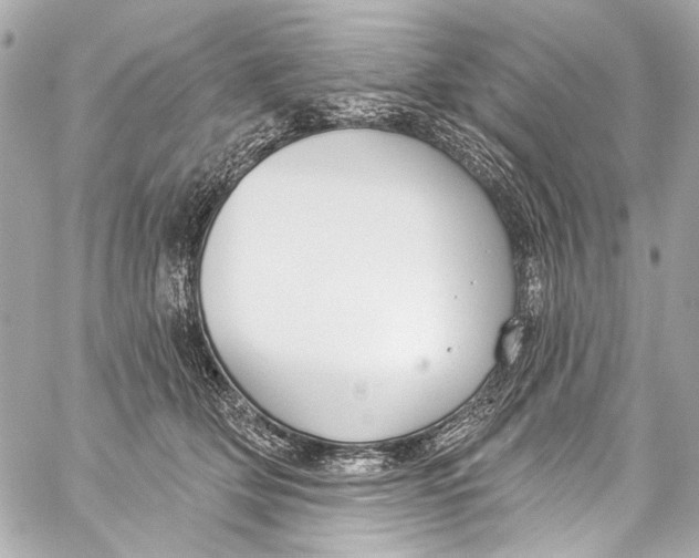 X0000057070514200510071436