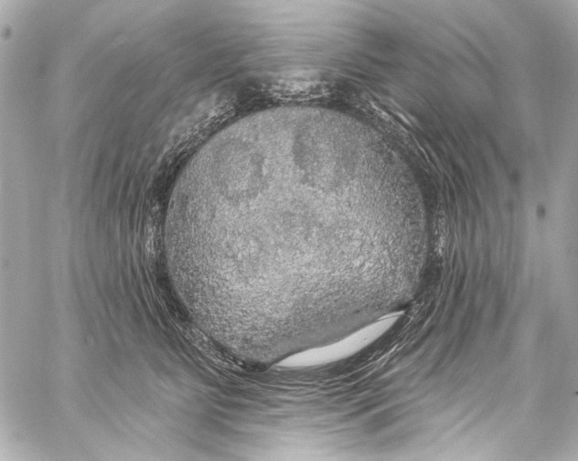 X0000057070515200510071436