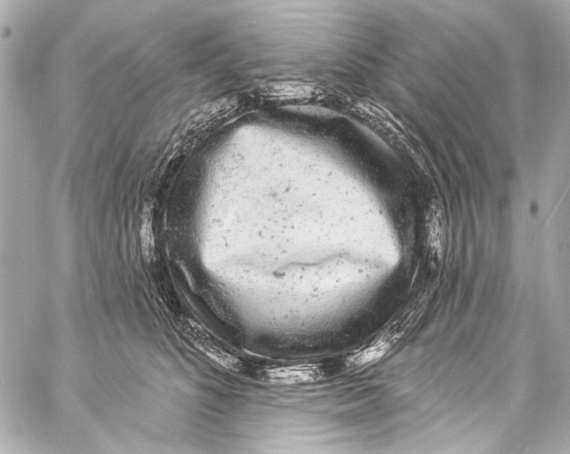 X0000057070516200510071436