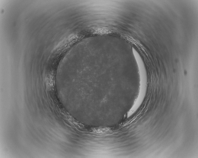 X0000057070517200510071436