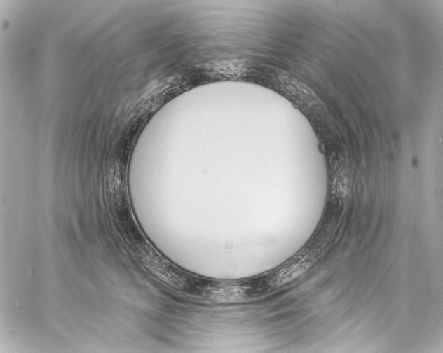 X0000057070518200510071436