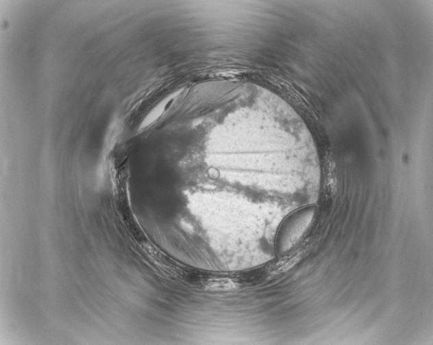 X0000057070519200510071436