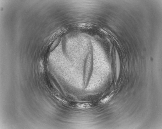 X0000057070520200510071436