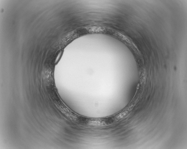 X0000057070521200510071436