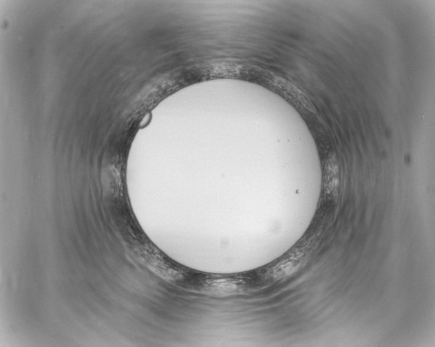 X0000057070522200510071436