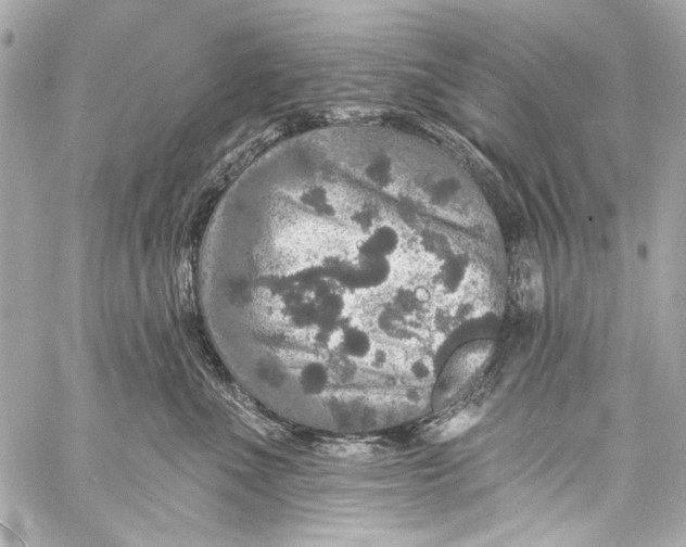 X0000057070523200510071436