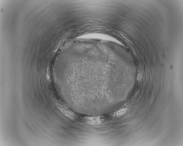 X0000057070524200510071436