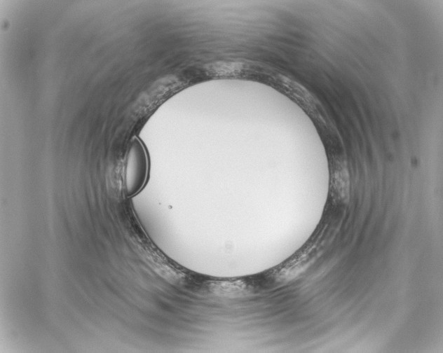 X0000057070525200510071436