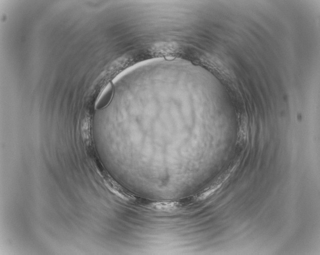 X0000057070526200510071436