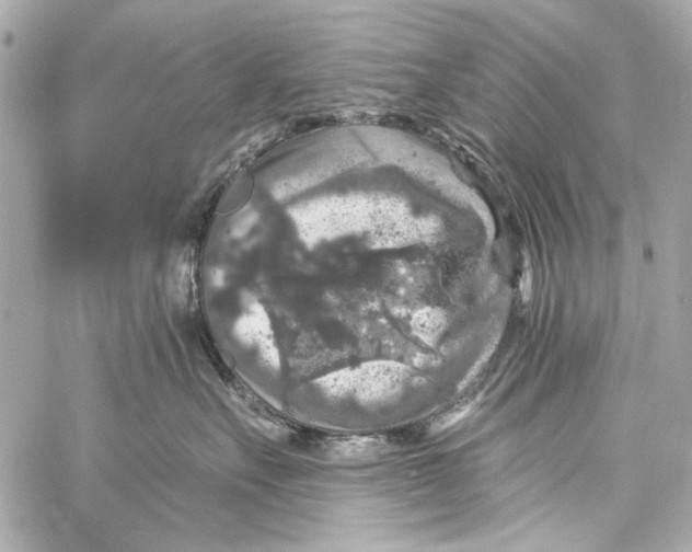 X0000057070527200510071436