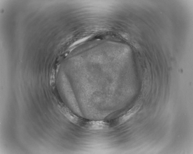 X0000057070528200510071436