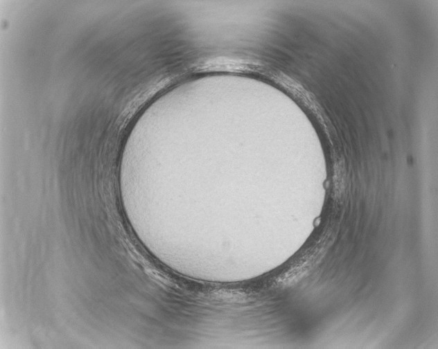 X0000057070529200510071435