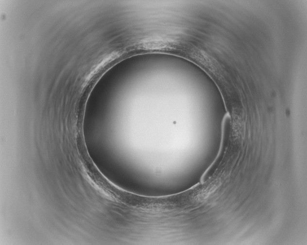 X0000057070530200510071435