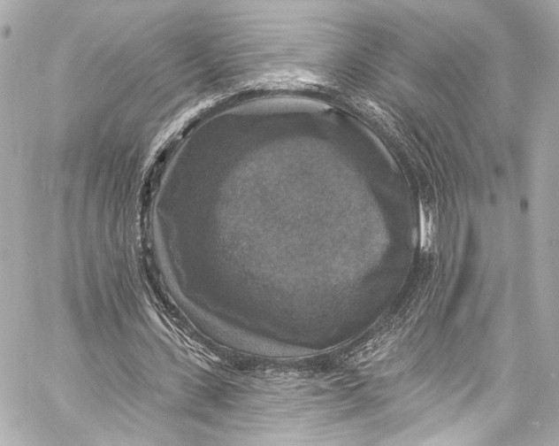 X0000057070531200510071435